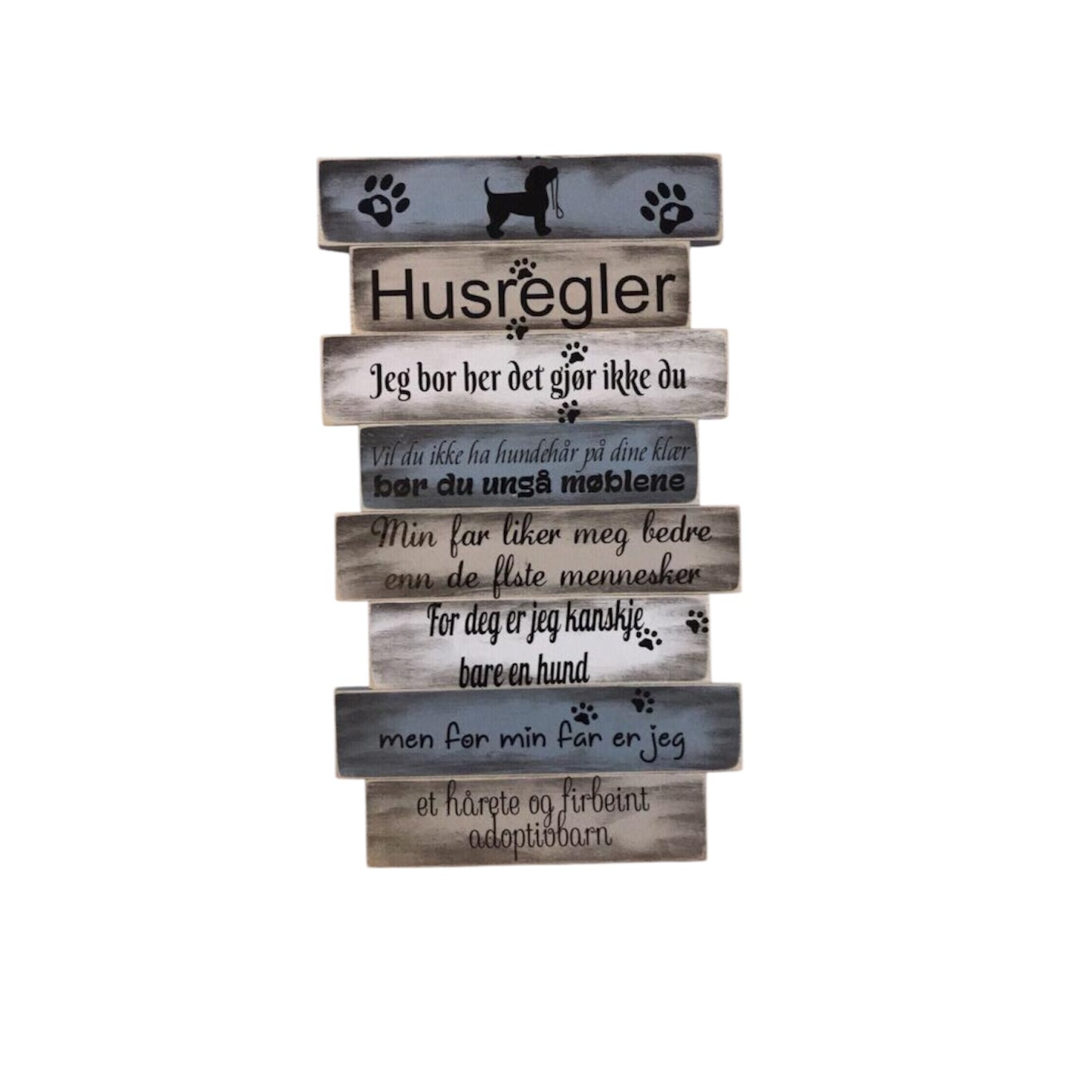 Husregler til hund og katt